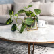NOVA Natural Marble Coffee Table, White NOVA Natural Marble Coffee Table, White